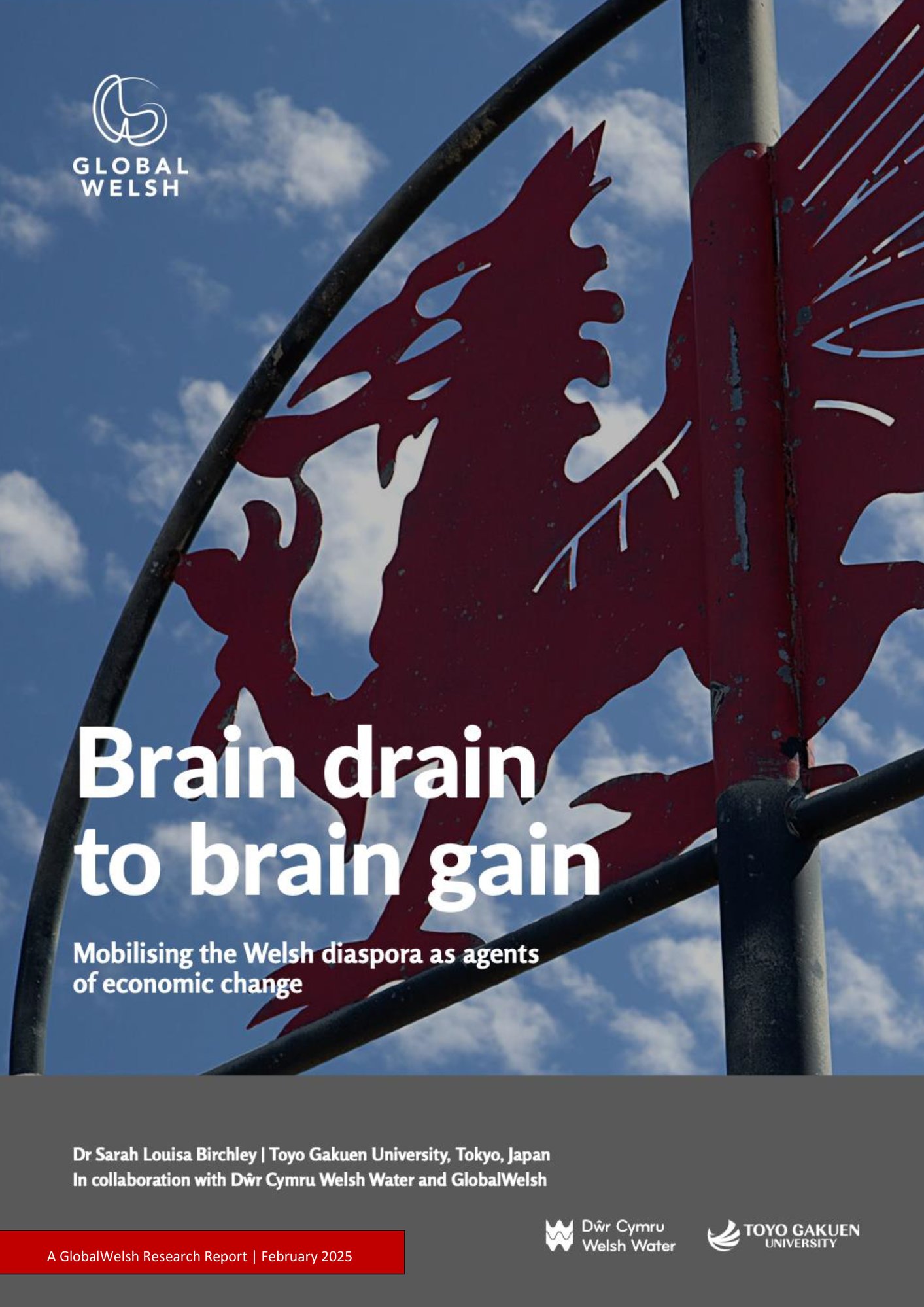 Brain Drain Final Report (Long Edited) cover